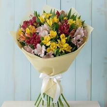 Букет цветов из:  Альстромерии #REPLACE_PRED# Марьиных Колодцах