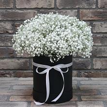 Цветочная композиция из Гипсофила в шляпной коробке в Марьиных Колодцах