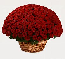 Премиум букет из: Розы в Марьиных Колодцах